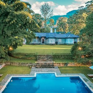 The Lavender House By Reveal